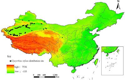Prediction of the potential distribution area of Glycyrrhiza inflata in China using a MaxEnt model